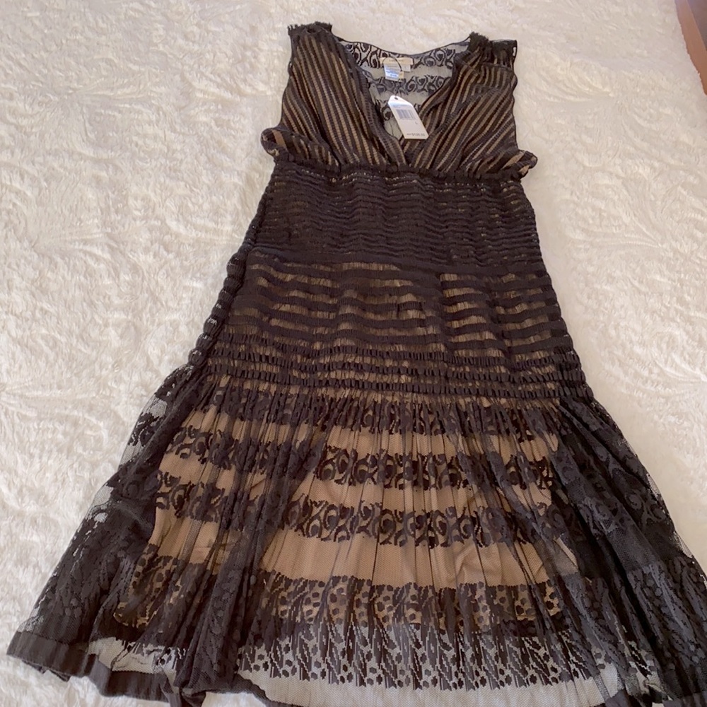 Romantic Max Studio Black Lace dress